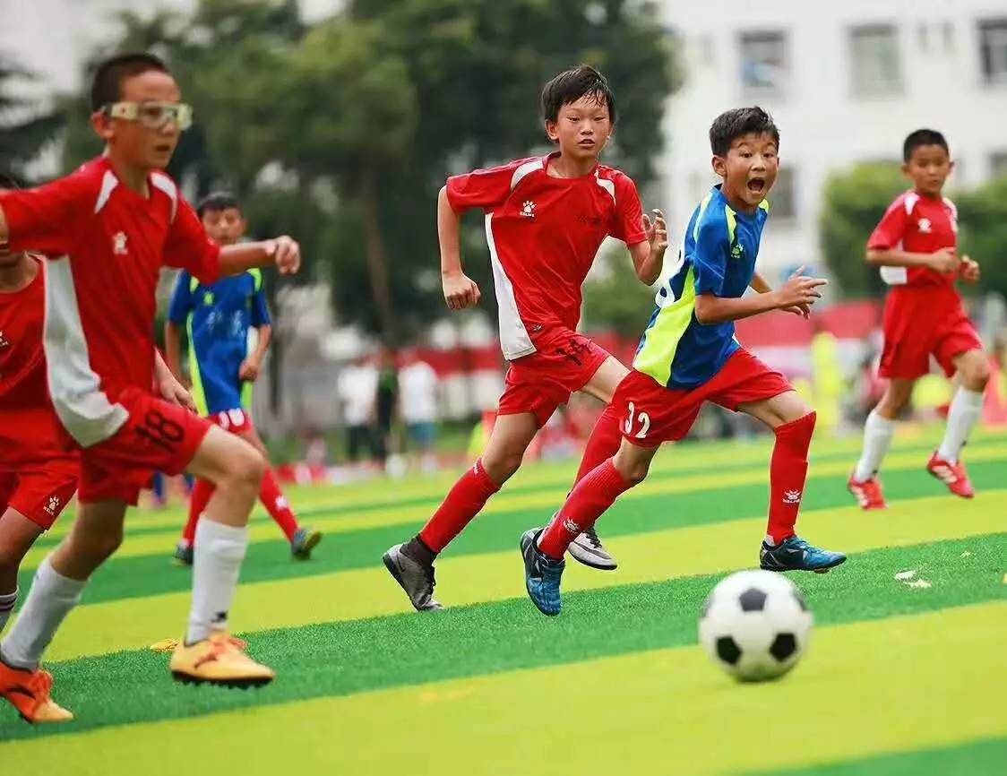 乌波等国威胁40国联合抵制俄运动员参加巴黎奥运会，国际奥委会回应_新闻频道_央视网(cctv.com)